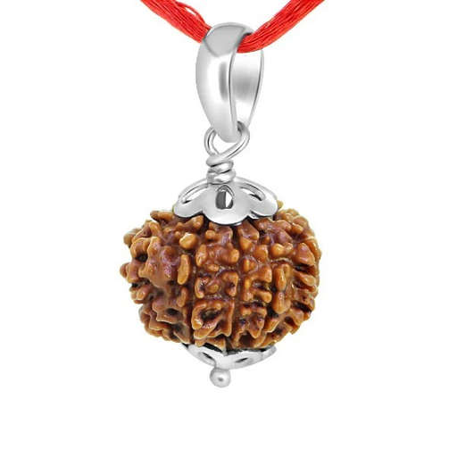 10 Mukhi Nepali Rudraksha — Photo 6 of 7