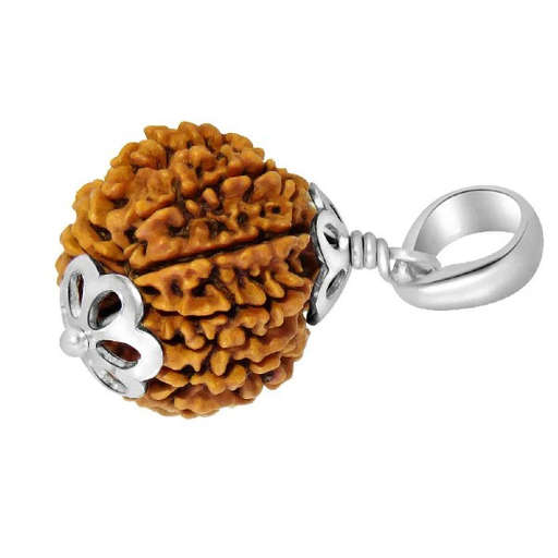 11 Mukhi Nepali Rudraksha — Ekadash Rudra