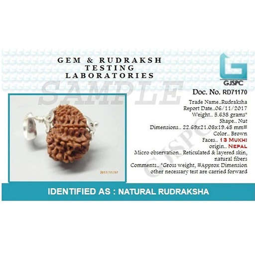 13 Mukhi Nepali Rudraksha — Kamdev aur Indra