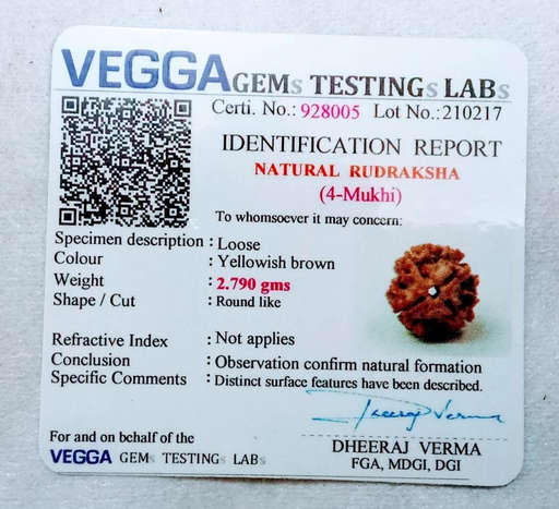 4 Mukhi Nepali Rudraksha — Bhagwan Brahma