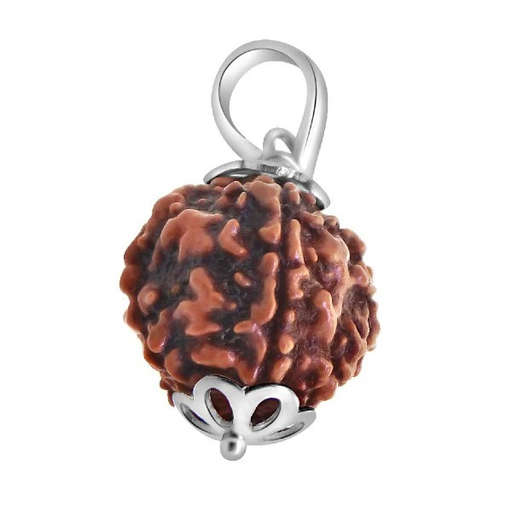 5 Mukhi Nepali Rudraksha — Kaalagni Rudra
