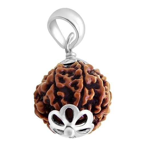 6 Mukhi Nepali Rudraksha — Photo 3 of 9