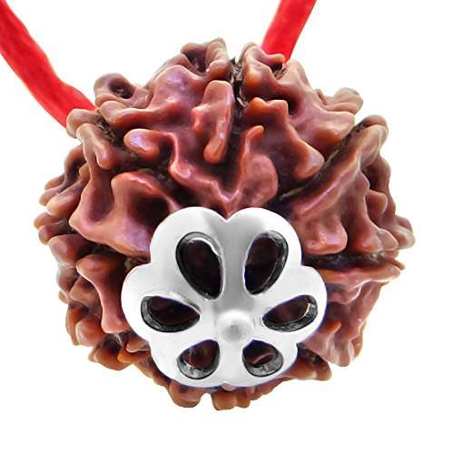 8 Mukhi Nepali Rudraksha — Bhagwan Ganesh