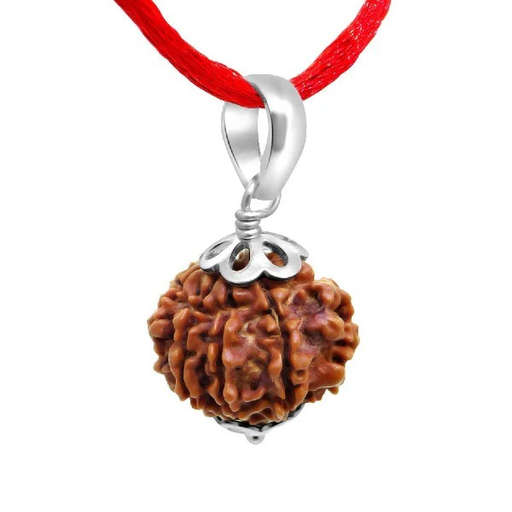 9 Mukhi Nepali Rudraksha — Maa Durga